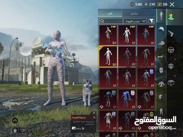 Pubg Accounts and Characters for Sale in Gharyan
