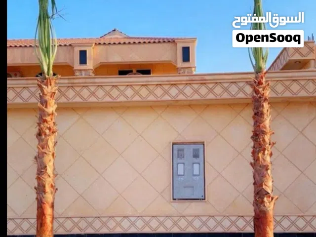 نخل واشنطن زينه أمريكي  ~نخل ملوكـي  ~نخل عربـي مثمر