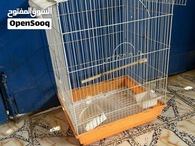 قفص كبير للطيور