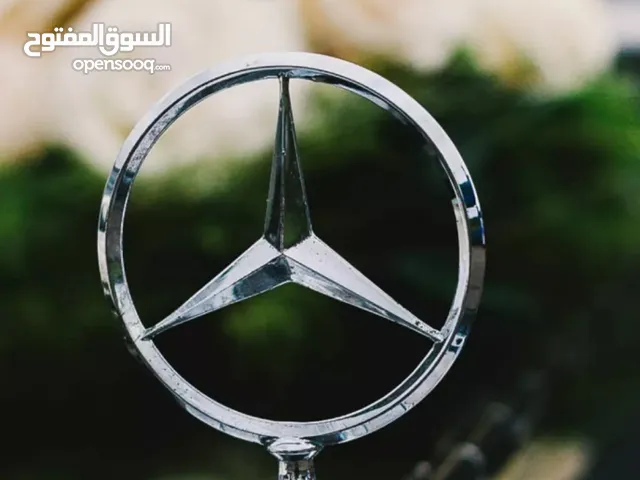محمود علي