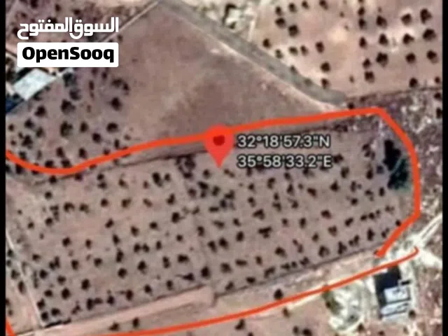 Farm Land for Sale in Jerash Dahl