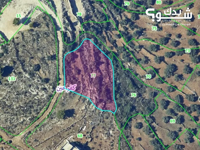 Residential Land for Sale in Ramallah and Al-Bireh Kafr Ein