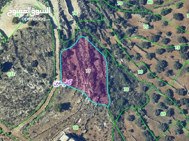 Residential Land for Sale in Ramallah and Al-Bireh Kafr Ein