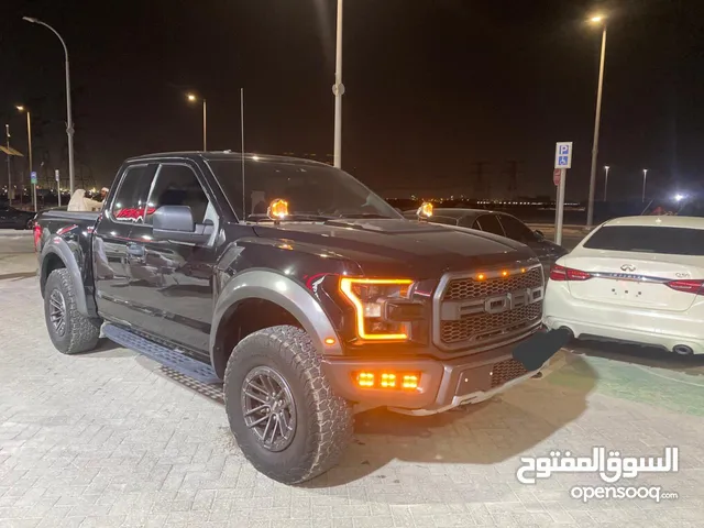 فورد رابتر باب ونص