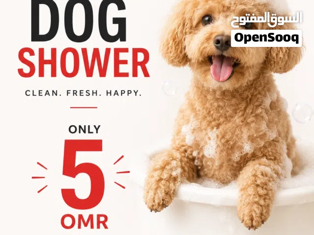 غسيل الكلاب والقطط بأسعار مميزة وجودة عالية