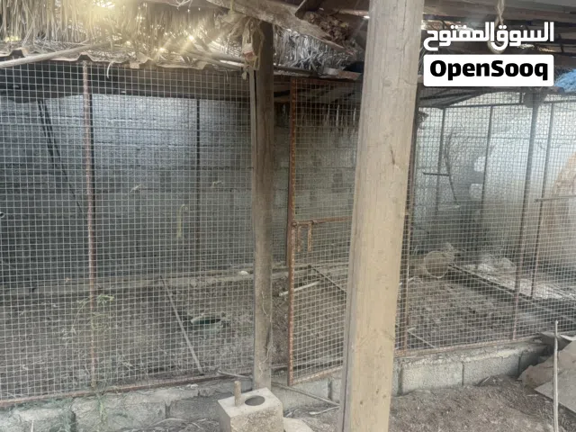 قفص طيور حمام