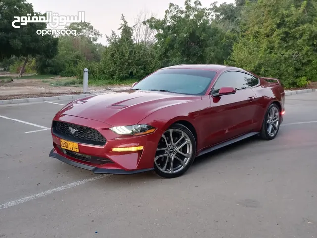 موستنج 2019 Mustang
