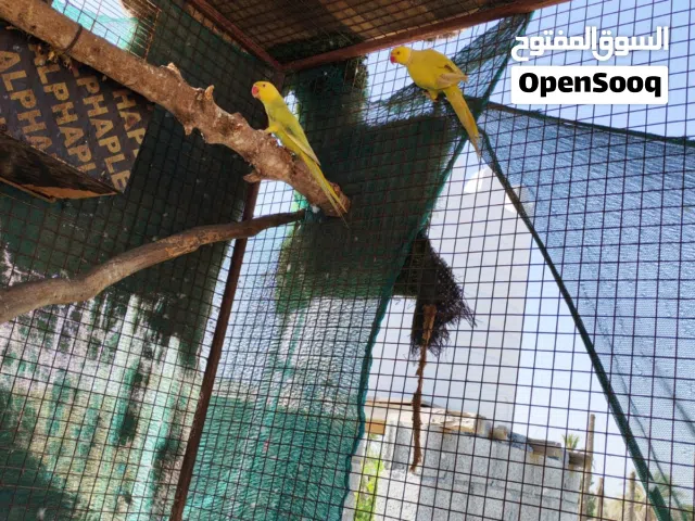 تابع الوصف
