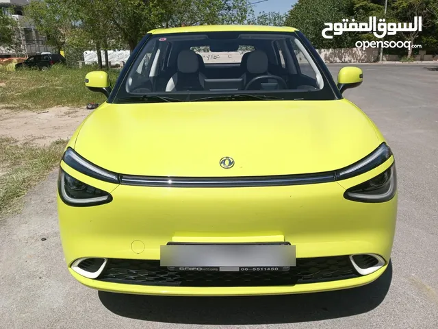 دونج فينج نامي بوكس 2024 للبيع