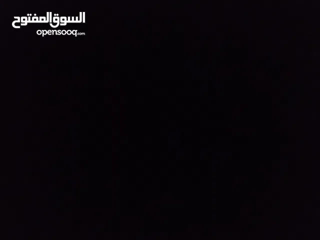 ربى يوسف زيدان