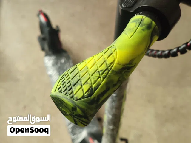 Electric Scooter crooni