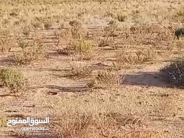 Farm Land for Rent in Al Ain Remah