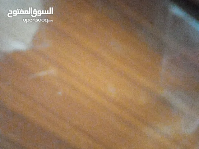 للبيع أبواب ونوافذ قديمه وتلفزيون قديم