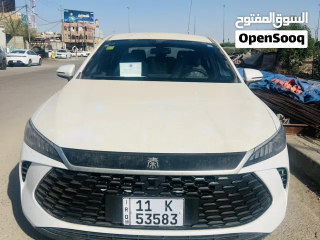2025 بي واي دي كين