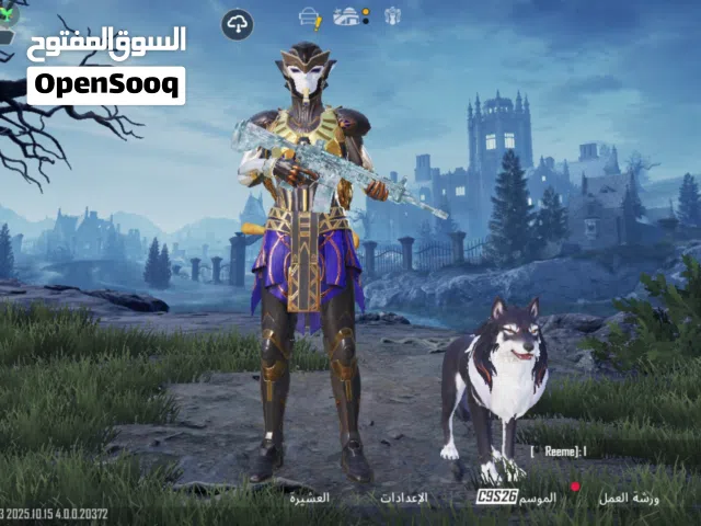 حساب ببجي لفل66