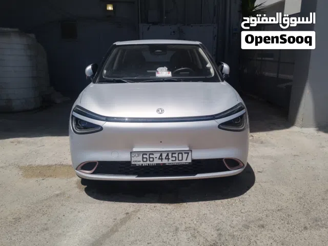 2025 دونج فينج نامي بوكس