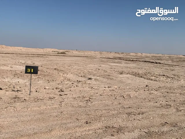 Farm Land for Sale in Basra Tannumah