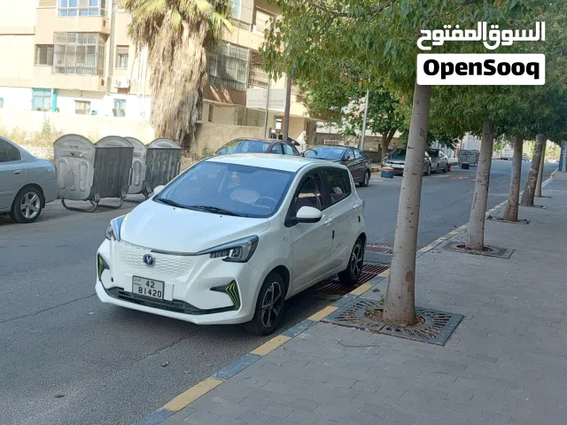 2023 Changan E-Star