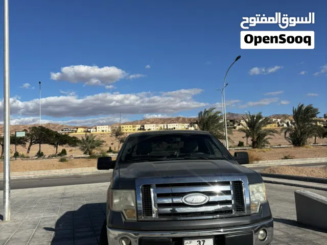 2009 Ford F-150 Standard