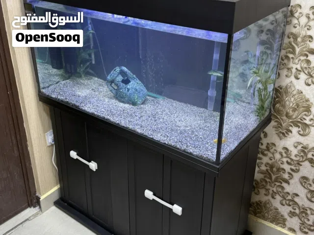للبيع حوض اسماك بحالة ممتازه