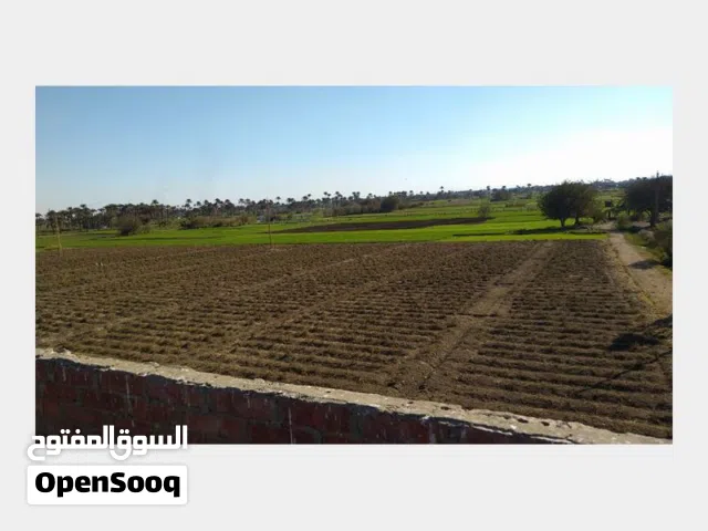 Farm Land for Sale in Beheira Nubariyah