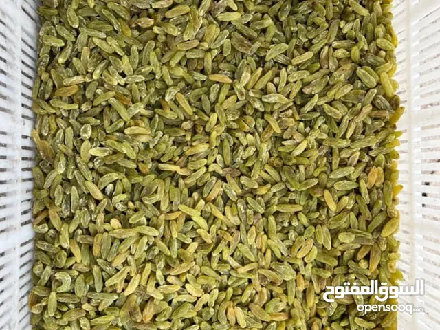Iranian kashmar green raisins / bulk sale for companies
