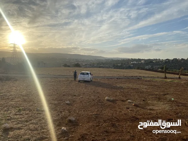 Residential Land for Sale in Salt Al Subeihi