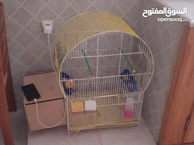 ذكر و انثى روز الانثى