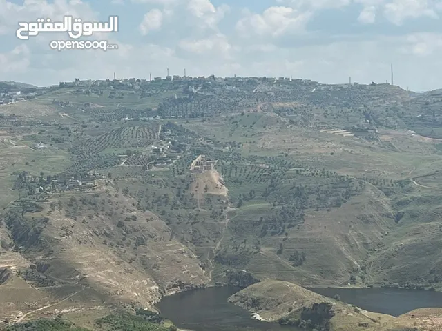 Farm Land for Sale in Jerash Al-Majdal