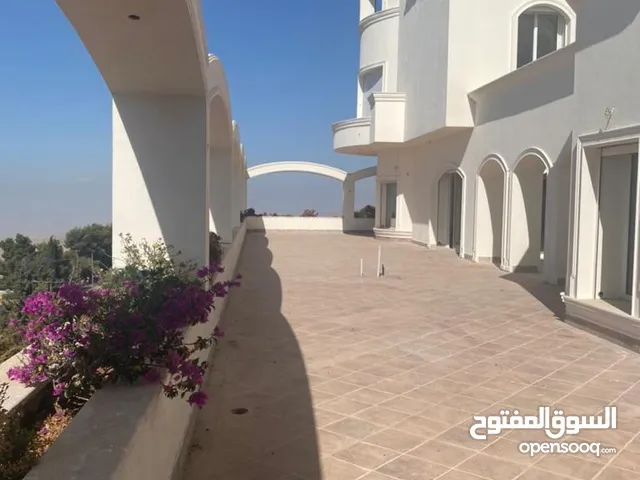 1500 m2 More than 6 bedrooms Villa for Sale in Amman Badr Jdedeh