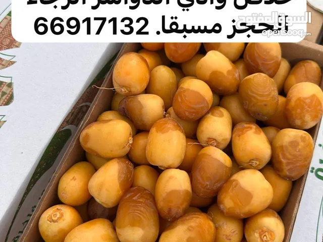 رطب اخلاص وادي الدواسر
