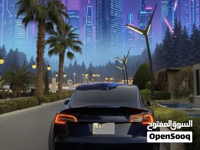 Used Tesla Model 3 in Baghdad