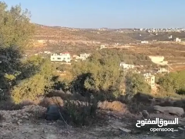 Residential Land for Sale in Ramallah and Al-Bireh Dayr Al-Sudan