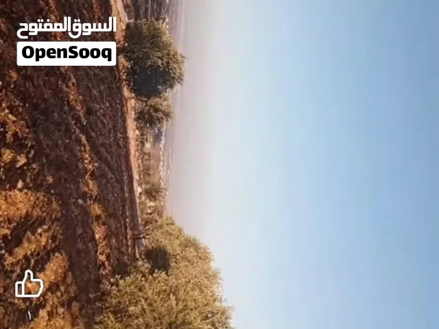Farm Land for Sale in Ajloun Sakhra