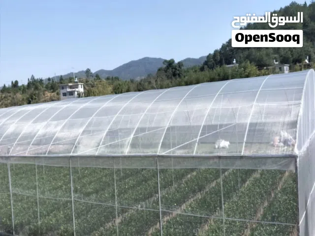 مشاتل زجاجي شفاف لحمايه المزروعات من الضريب