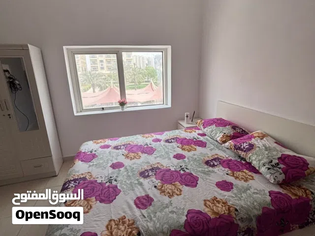 690 ft² Studio Apartments for Sale in Ajman Al Ameera Village