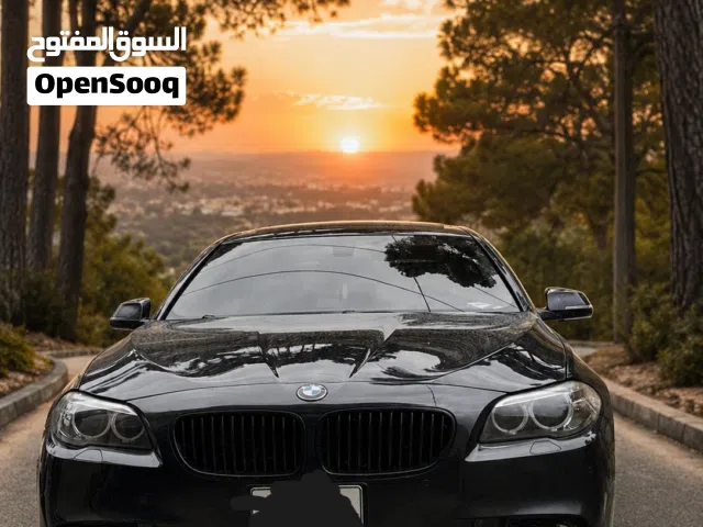 2015 BMW 5 Series 520