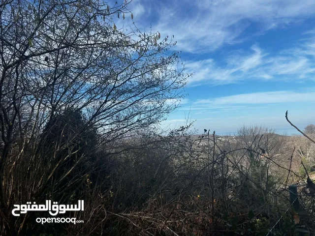 Mixed Use Land for Sale in Istanbul Şile