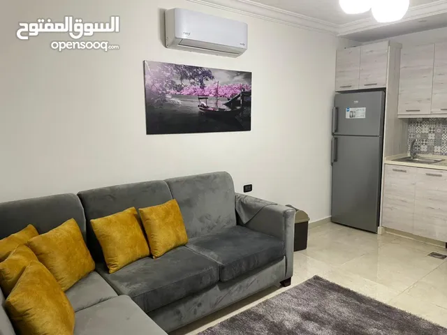 45 m2 Studio Apartments for Rent in Amman University Street