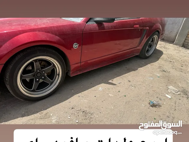 للبدل ركبين علا موستنق