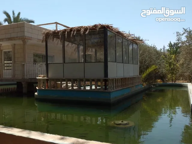 More than 6 bedrooms Farms for Sale in Zarqa Azraq