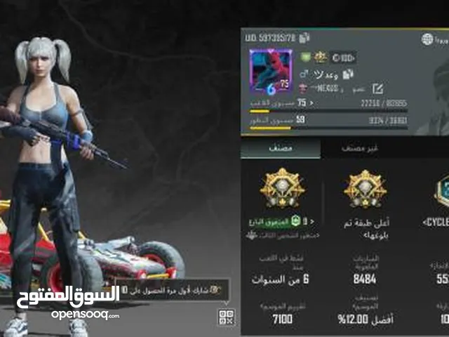 Pubg Accounts and Characters for Sale in Al Karak