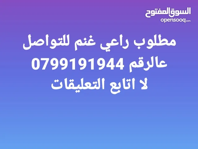 مطلوب راعي غنم