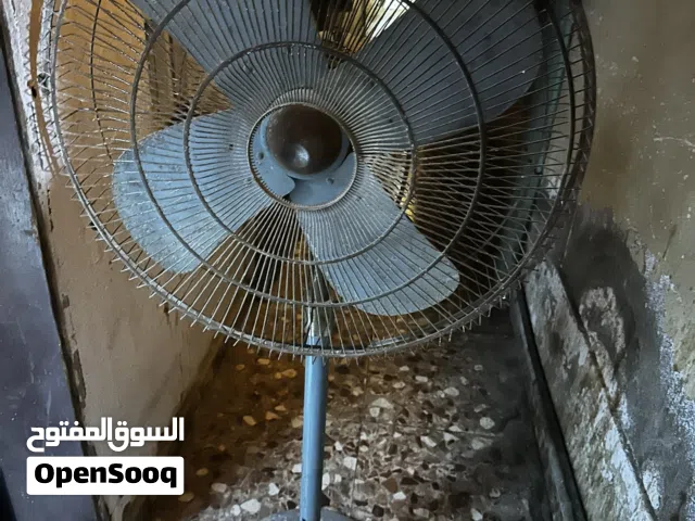 Fan old model