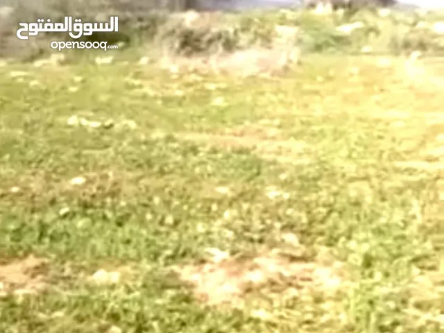 بيع ارض مميزة في النصاريه