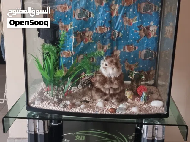 حوض سمك مع الطاوله وكل مستلزماته