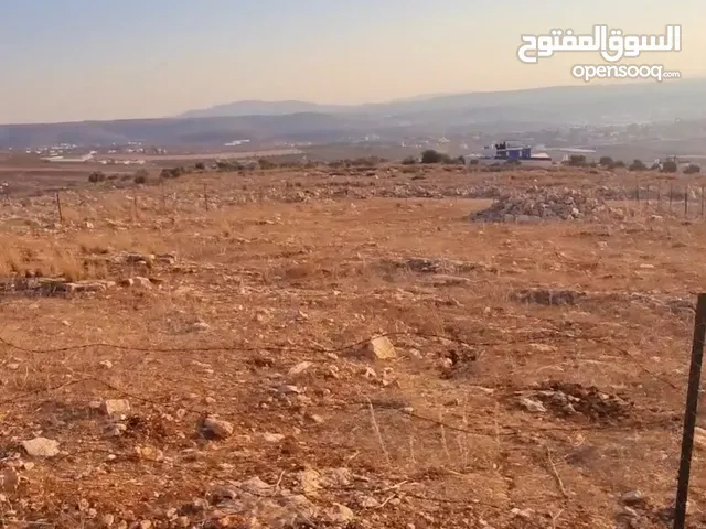 Residential Land for Sale in Jenin Deir Ghazala