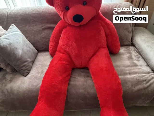 دب احمر للبيع