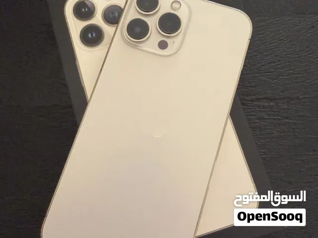 13 pro max