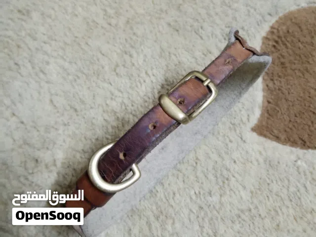 طوق جلدي مبطن للكلاب من علامة التجارية band&roll المصنوع يدوياً من الجلد الاصلي الطبيعي 100% .